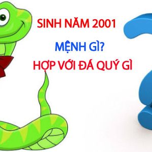 sinh nam 2001 menh gi, hop mau gi