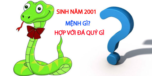 sinh nam 2001 menh gi, hop mau gi