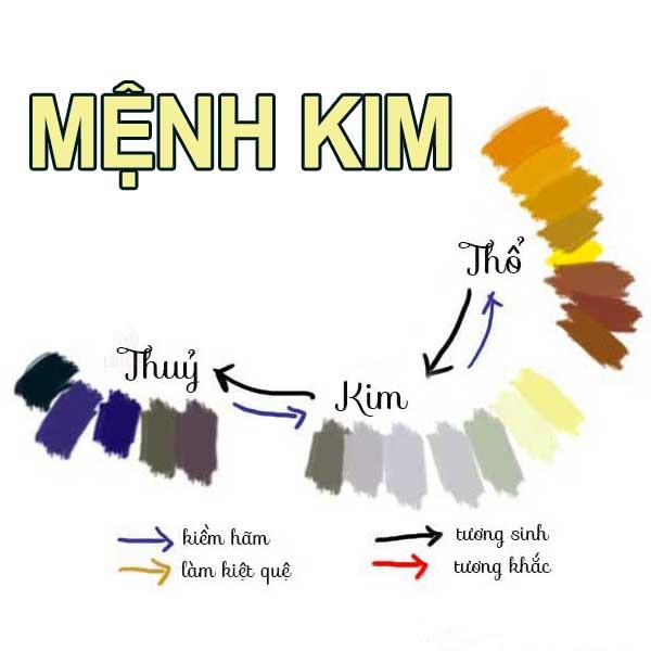 Mạng kim hợp màu gì?