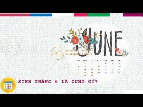 sinh tháng 6 cung gì