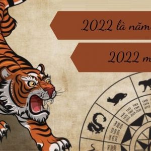 2022 mệnh gì