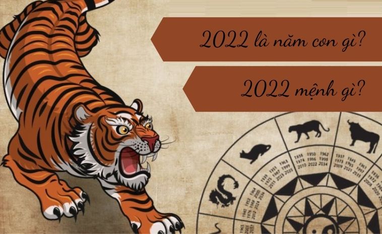 2022 mệnh gì
