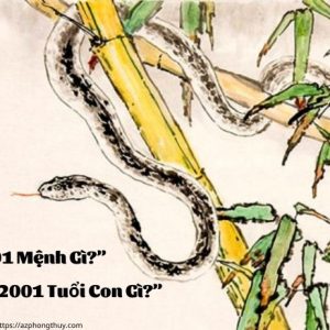 2001 mệnh gì