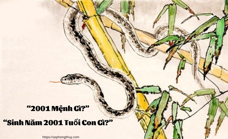 2001 mệnh gì