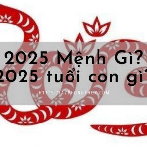 2025 Mệnh Gì