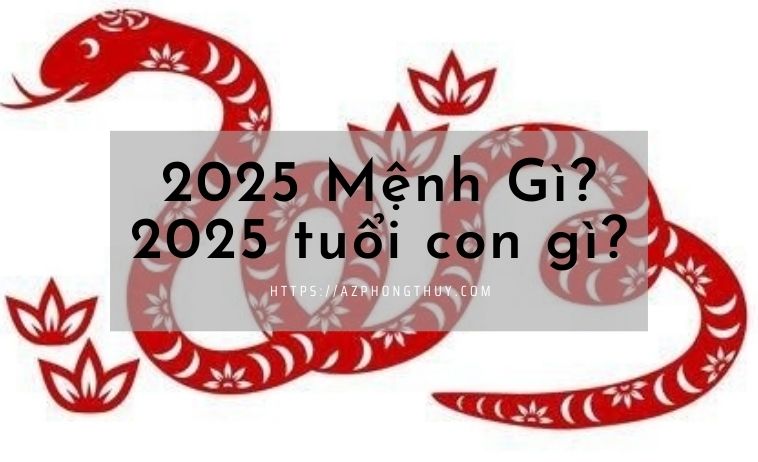 2025 Mệnh Gì