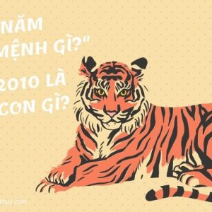 sinh năm 2010 mệnh gì