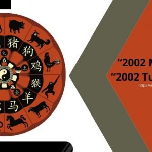 2002 mệnh gì